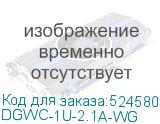 DGWC-1U-2.1A-WG