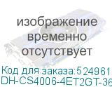 DH-CS4006-4ET2GT-36