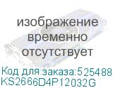 KS2666D4P12032G
