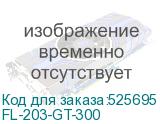 FL-203-GT-300
