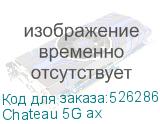 Chateau 5G ax