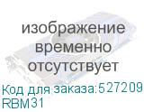 RBM31
