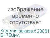 B17BJPA