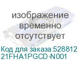21FHA1PGCD-N001
