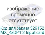 MX_4xDP1.2 Input card