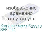 SFF T12