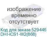 DHI-ICS1-W2(868)