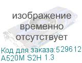 A520M S2H 1.3