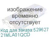 21MLA01QCD