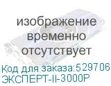ЭКСПЕРТ-II-3000Р