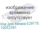 10062381