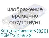 R3MP30256G8