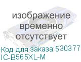 IC-B565XL-M