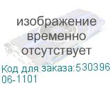 06-1101