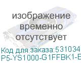 P5-YS1000-G1FFBK1-EU