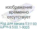 ШРН-9.500.1-9005
