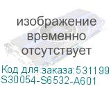 S30054-S6532-A601