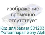 Фотоаппарат Sony Alpha 7 CR черный 62.5Mpix 3 UHD 4K WiFi NP-FZ100 SONY