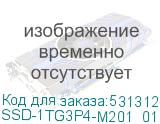 SSD-1TG3P4-M201_01