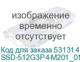 SSD-512G3P4-M201_01