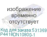 P4418DN10800-1