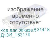 Д13И_163170
