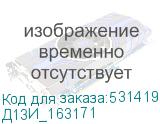 Д13И_163171