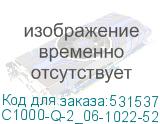 C1000-Q-2_06-1022-5280M6_1