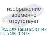P5-YS850-G1F