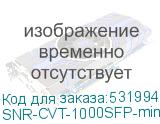 SNR-CVT-1000SFP-mini
