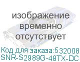 SNR-S2989G-48TX-DC
