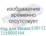 7239000184