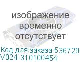 V024-310100454