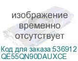 QE55QN90DAUXCE