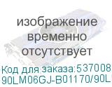90LM06GJ-B01170/90LM06GJ-B0117