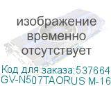 GV-N507TAORUS M-16GD 1.0