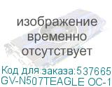 GV-N507TEAGLE OC-16GD 1.0