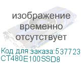 CT480E100SSD8