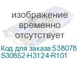 S30852-H3124-R101