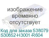 S30852-H3001-R604