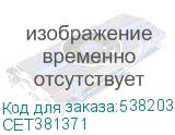 CET381371
