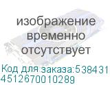 4512670010289