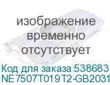 NE7507T019T2-GB2031A