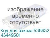 43449501