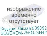SDSDXDM-256G-GN4IN
