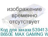 B650E MAX GAMING WIFI