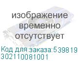 302110081001