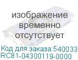 RC81-04300119-0000