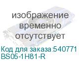 BS05-1H81-R