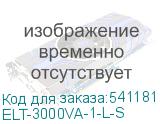 ELT-3000VA-1-L-S